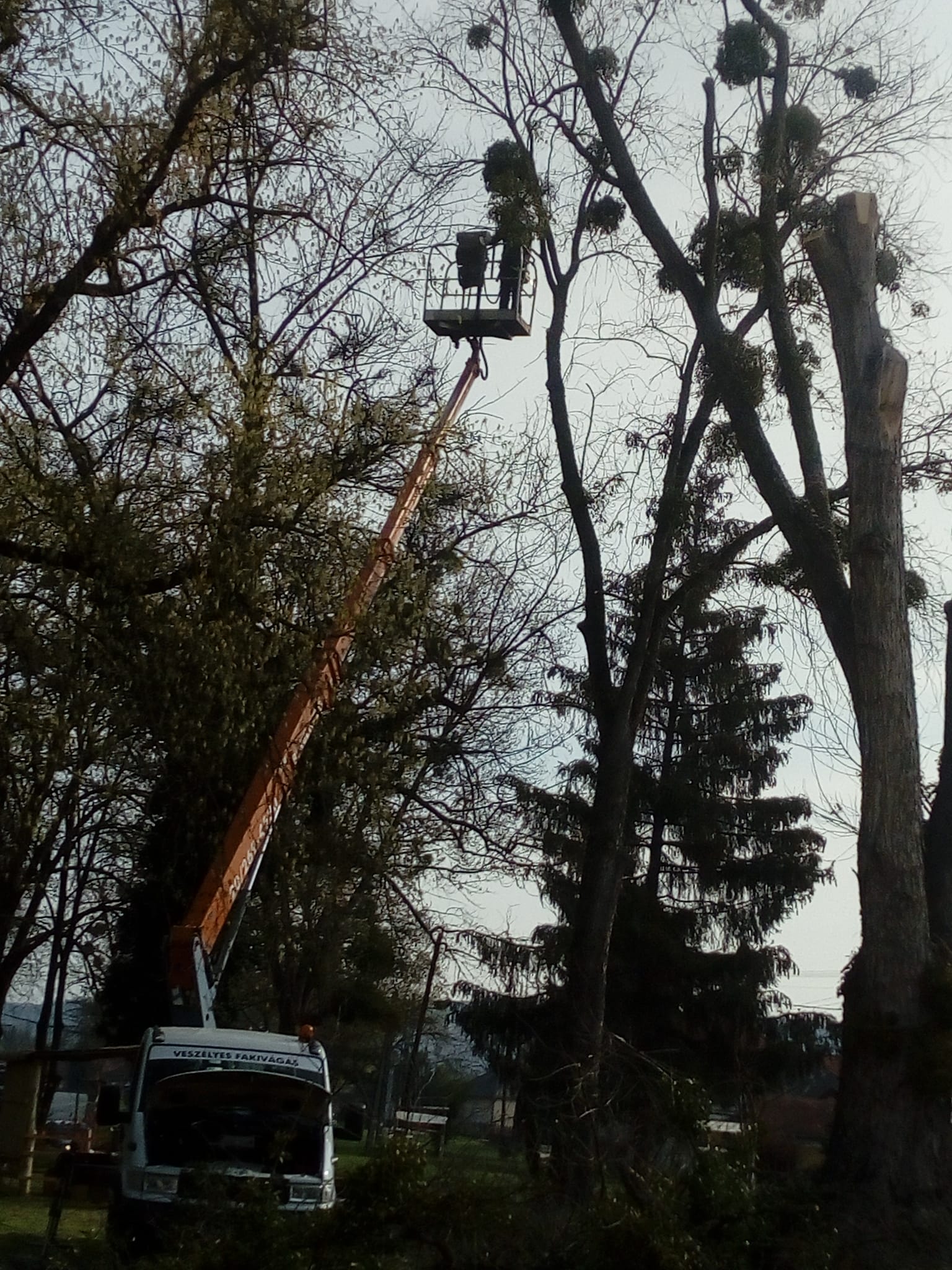 341010142 2247976658723279 5780939338052838392 n