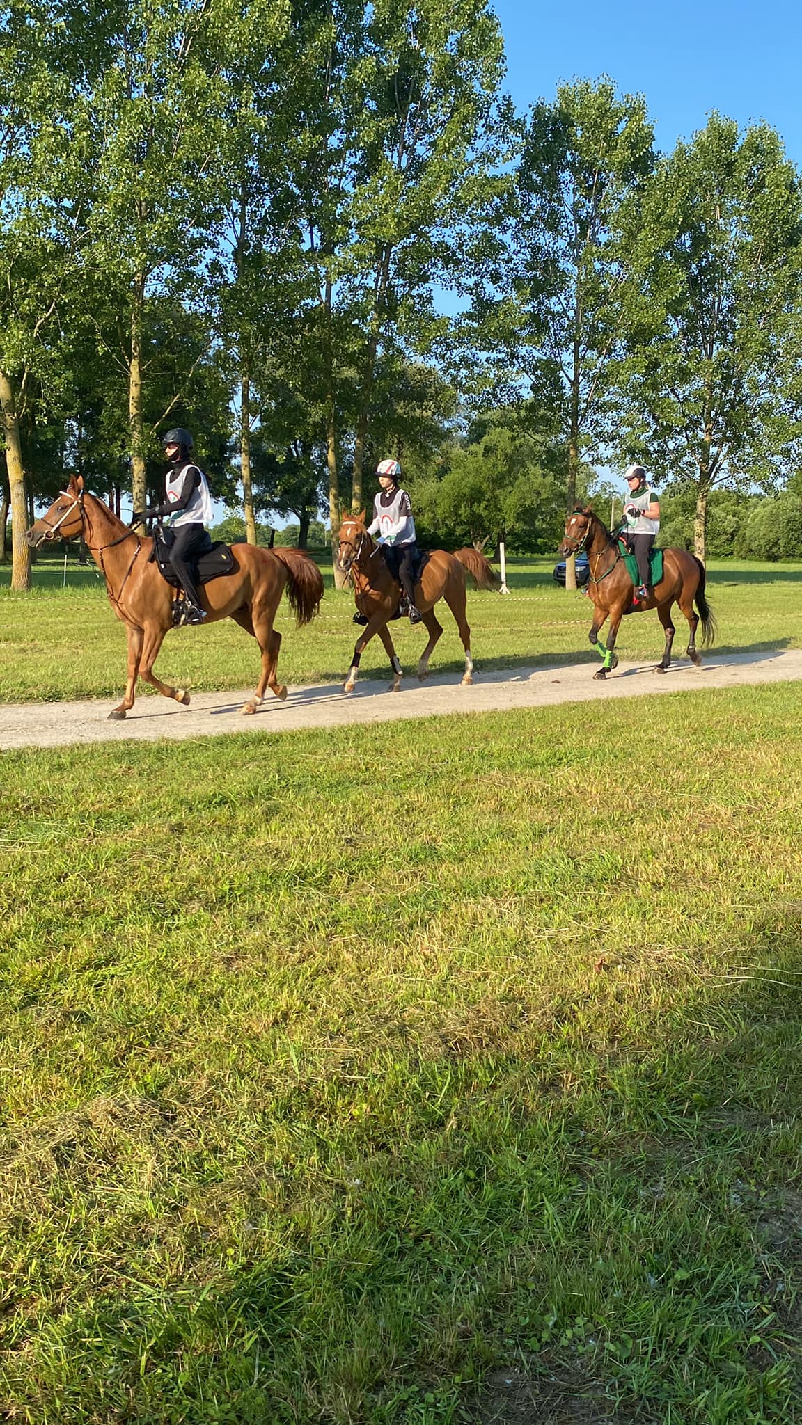 347026436 792180152579460 2321055162146263313 n